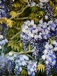 English spring 4, wisteria flowers